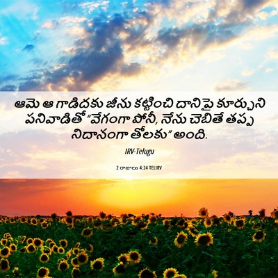 Picture 06 - 2 రాజులు 4:24 TELIRV - ఆమె ఆ గాడిదకు జీను - Bible Verse Picture