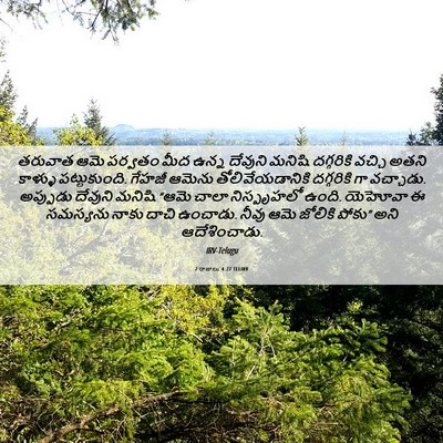 Picture 06 - 2 రాజులు 4:27 TELIRV - తరువాత ఆమె పర్వతం - Bible Verse Picture
