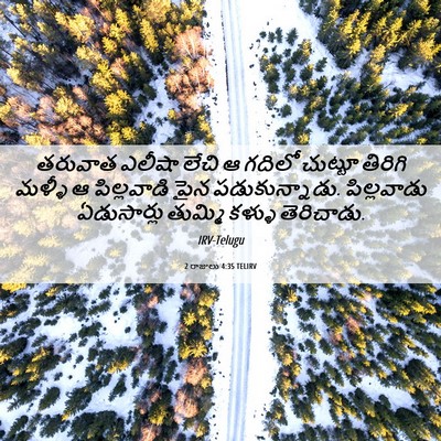 Picture 06 - 2 రాజులు 4:35 TELIRV - తరువాత ఎలీషా లేచి - Bible Verse Picture