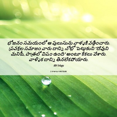 Picture 06 - 2 రాజులు 4:40 TELIRV - భోజనం సమయంలో ఆ - Bible Verse Picture