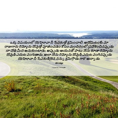 Picture 06 - 2 రాజులు 5:18 TELIRV - ఒక్క విషయంలో - Bible Verse Picture