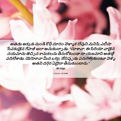 Picture 06 - 2 రాజులు 5:20 TELIRV - అతడు అక్కడ నుండి - Bible Verse Picture