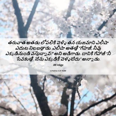 Picture 06 - 2 రాజులు 5:25 TELIRV - తరువాత అతడు - Bible Verse Picture