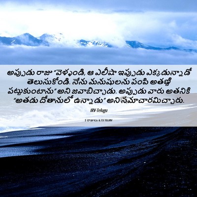 Picture 06 - 2 రాజులు 6:13 TELIRV - అప్పుడు రాజు - Bible Verse Picture