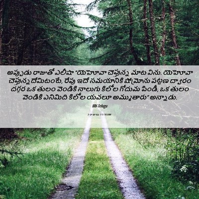 Picture 06 - 2 రాజులు 7:1 TELIRV - అప్పుడు రాజుతో - Bible Verse Picture