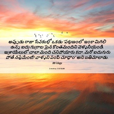 Picture 06 - 2 రాజులు 7:13 TELIRV - అప్పుడు రాజు - Bible Verse Picture