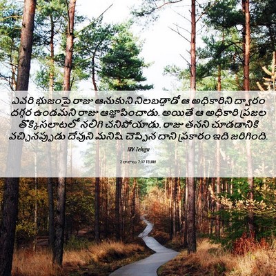 Picture 06 - 2 రాజులు 7:17 TELIRV - ఎవరి భుజంపై రాజు - Bible Verse Picture