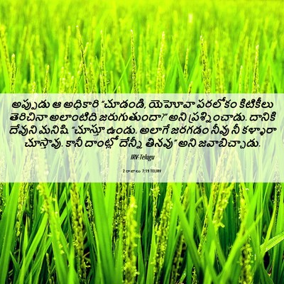 Picture 06 - 2 రాజులు 7:19 TELIRV - అప్పుడు ఆ అధికారి - Bible Verse Picture