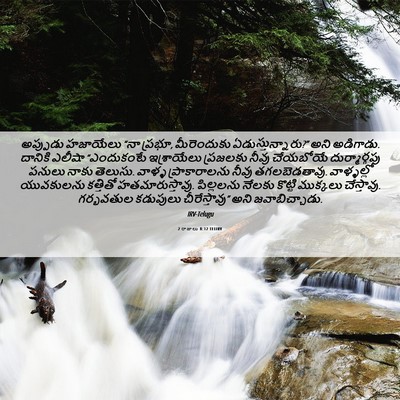 Picture 06 - 2 రాజులు 8:12 TELIRV - అప్పుడు హజాయేలు - Bible Verse Picture