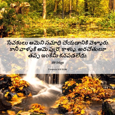 Picture 06 - 2 రాజులు 9:35 TELIRV - సేవకులు ఆమెని - Bible Verse Picture