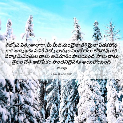 Picture 06 - 2 సమూయేలు 1:21 TELIRV - గిల్బోవ - Bible Verse Picture