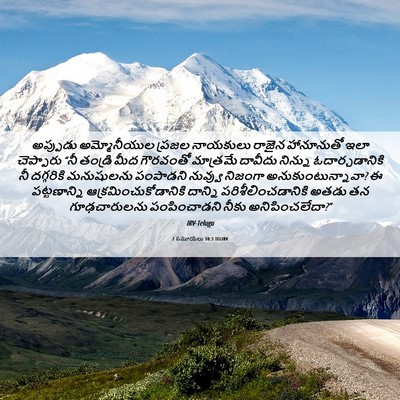 Picture 06 - 2 సమూయేలు 10:3 TELIRV - అప్పుడు - Bible Verse Picture