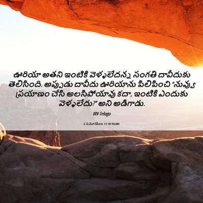 Picture 06 - 2 సమూయేలు 11:10 TELIRV - ఊరియా అతని ఇంటికి - Bible Verse Picture