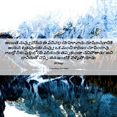 Picture 06 - 2 సమూయేలు 12:15 TELIRV - అయితే నువ్వు - Bible Verse Picture