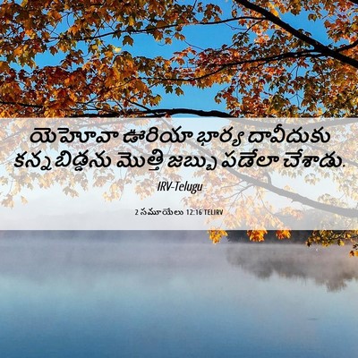 Picture 06 - 2 సమూయేలు 12:16 TELIRV - యెహోవా ఊరియా - Bible Verse Picture
