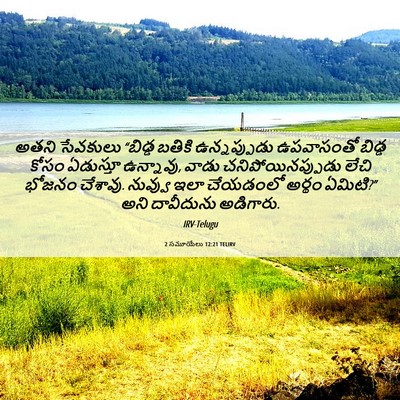 Picture 06 - 2 సమూయేలు 12:21 TELIRV - అతని సేవకులు - Bible Verse Picture