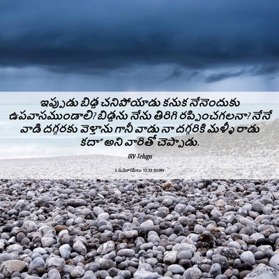 Picture 06 - 2 సమూయేలు 12:23 TELIRV - ఇప్పుడు బిడ్డ - Bible Verse Picture