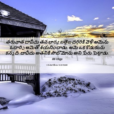 Picture 06 - 2 సమూయేలు 12:24 TELIRV - తరువాత దావీదు తన - Bible Verse Picture