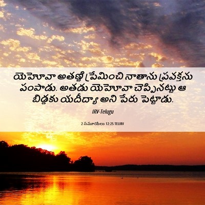 Picture 06 - 2 సమూయేలు 12:25 TELIRV - యెహోవా అతణ్ణి - Bible Verse Picture