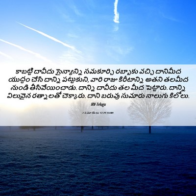 Picture 06 - 2 సమూయేలు 12:29 TELIRV - కాబట్టి దావీదు - Bible Verse Picture