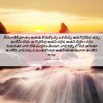 Picture 06 - 2 సమూయేలు 12:3 TELIRV - బీదవాడికి మాత్రం - Bible Verse Picture