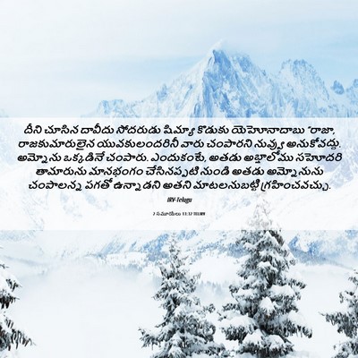 Picture 06 - 2 సమూయేలు 13:32 TELIRV - దీని చూసిన దావీదు - Bible Verse Picture