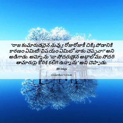 Picture 06 - 2 సమూయేలు 13:4 TELIRV - “రాజ కుమారుడవైన - Bible Verse Picture