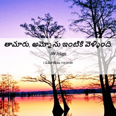 Picture 06 - 2 సమూయేలు 13:8 TELIRV - తామారు, అమ్నోను - Bible Verse Picture