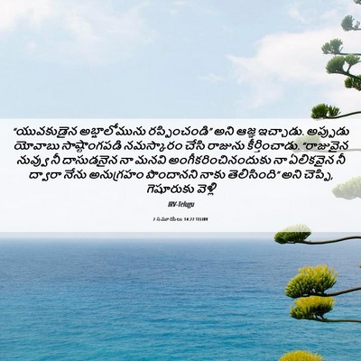 Picture 06 - 2 సమూయేలు 14:22 TELIRV - “యువకుడైన - Bible Verse Picture