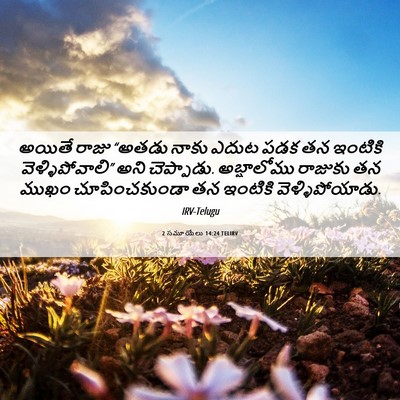 Picture 06 - 2 సమూయేలు 14:24 TELIRV - అయితే రాజు “అతడు - Bible Verse Picture