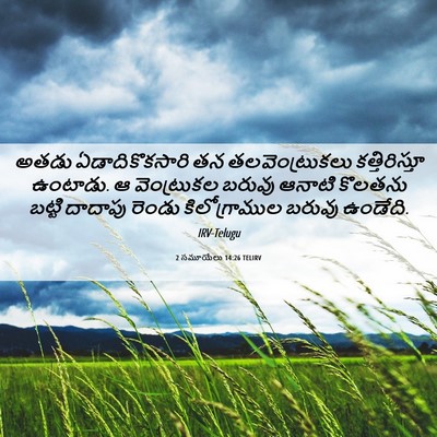 Picture 06 - 2 సమూయేలు 14:26 TELIRV - అతడు ఏడాదికొకసారి - Bible Verse Picture