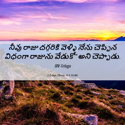 Picture 06 - 2 సమూయేలు 14:3 TELIRV - నీవు రాజు - Bible Verse Picture