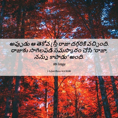 Picture 06 - 2 సమూయేలు 14:4 TELIRV - అప్పుడు ఆ తెకోవ - Bible Verse Picture