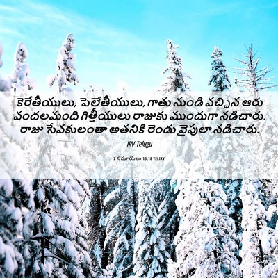 Picture 06 - 2 సమూయేలు 15:18 TELIRV - కెరేతీయులు, - Bible Verse Picture