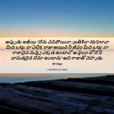 Picture 06 - 2 సమూయేలు 15:21 TELIRV - అప్పుడు ఇత్తయి - Bible Verse Picture