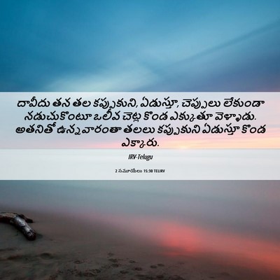 Picture 06 - 2 సమూయేలు 15:30 TELIRV - దావీదు తన తల - Bible Verse Picture