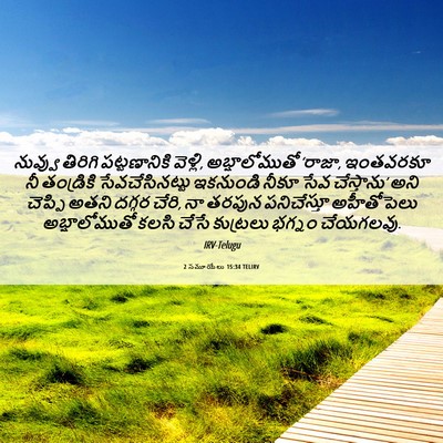 Picture 06 - 2 సమూయేలు 15:34 TELIRV - నువ్వు తిరిగి - Bible Verse Picture