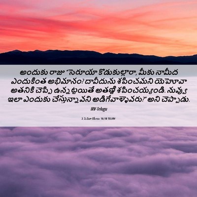 Picture 06 - 2 సమూయేలు 16:10 TELIRV - అందుకు రాజు - Bible Verse Picture