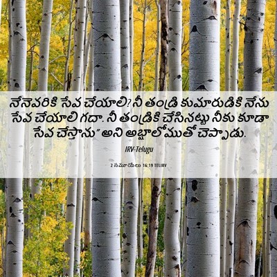 Picture 06 - 2 సమూయేలు 16:19 TELIRV - నేనెవరికి సేవ - Bible Verse Picture
