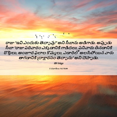 Picture 06 - 2 సమూయేలు 16:2 TELIRV - రాజు “ఇవి ఎందుకు - Bible Verse Picture