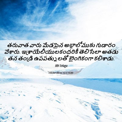 Picture 06 - 2 సమూయేలు 16:22 TELIRV - తరువాత వారు - Bible Verse Picture