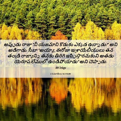 Picture 06 - 2 సమూయేలు 16:3 TELIRV - అప్పుడు రాజు “నీ - Bible Verse Picture