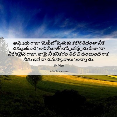 Picture 06 - 2 సమూయేలు 16:4 TELIRV - అప్పుడు రాజు - Bible Verse Picture