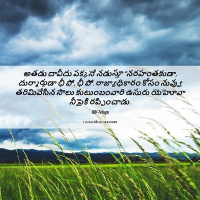 Picture 06 - 2 సమూయేలు 16:6 TELIRV - అతడు దావీదు - Bible Verse Picture