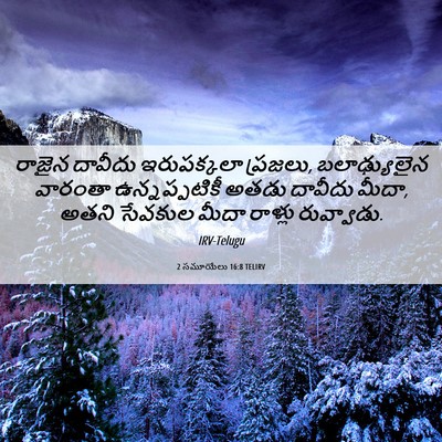 Picture 06 - 2 సమూయేలు 16:8 TELIRV - రాజైన దావీదు - Bible Verse Picture