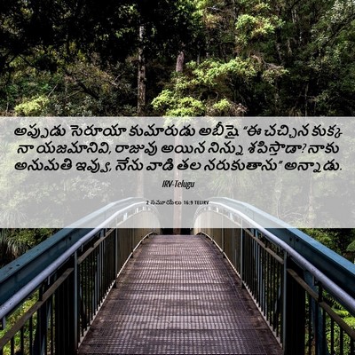 Picture 06 - 2 సమూయేలు 16:9 TELIRV - అప్పుడు సెరూయా - Bible Verse Picture