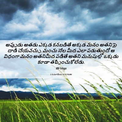 Picture 06 - 2 సమూయేలు 17:12 TELIRV - అప్పుడు అతడు - Bible Verse Picture