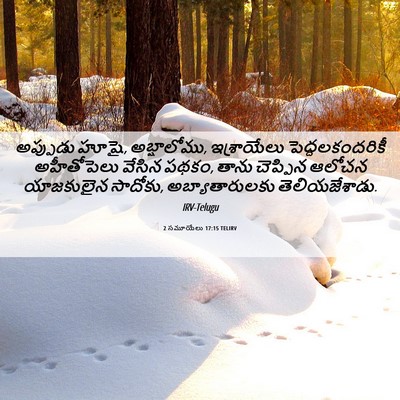 Picture 06 - 2 సమూయేలు 17:15 TELIRV - అప్పుడు హూషై, - Bible Verse Picture