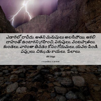 Picture 06 - 2 సమూయేలు 17:28 TELIRV - ఎడారిలో దావీదు, - Bible Verse Picture
