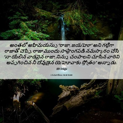 Picture 06 - 2 సమూయేలు 18:28 TELIRV - అంతలో అహిమయస్సు - Bible Verse Picture